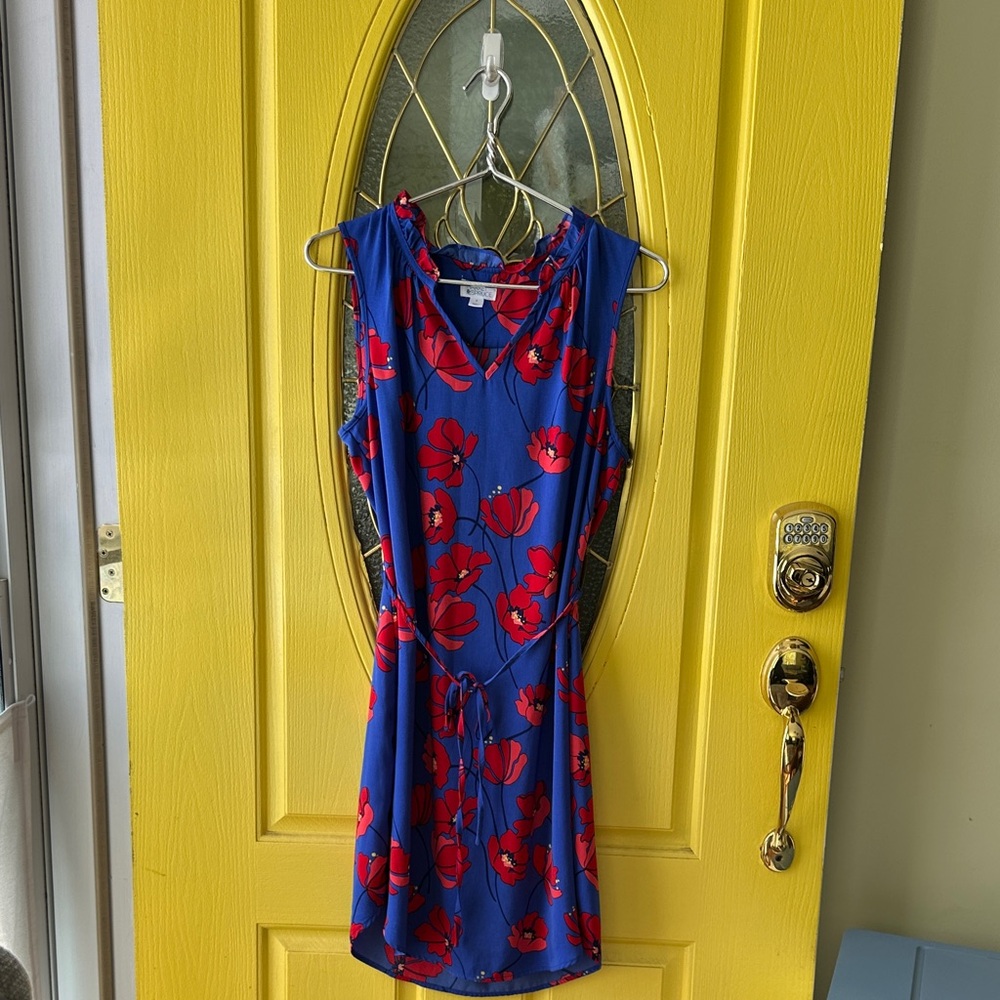 Market & Spruce Blue and Red Floral Dress